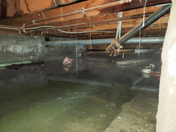 Best Emergency water damage restoration  in Ferndale, WA