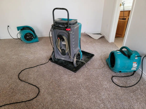 Best 24-hour water damage restoration  in Ferndale, WA
