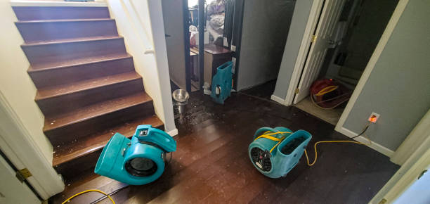 Best Basement water damage restoration  in Ferndale, WA