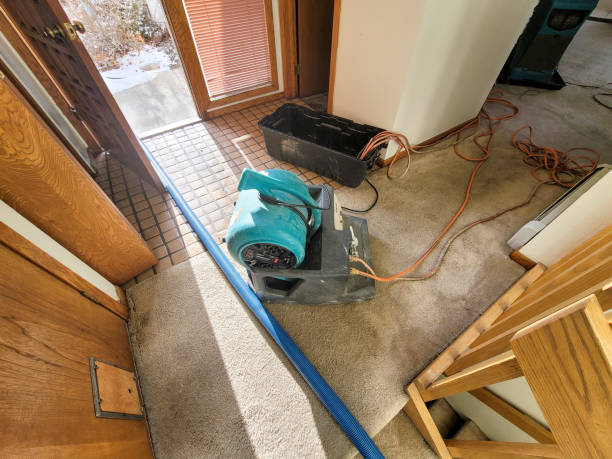 Best Flood damage cleanup  in Ferndale, WA