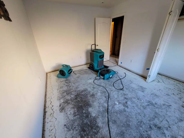 Best Flood restoration services  in Ferndale, WA