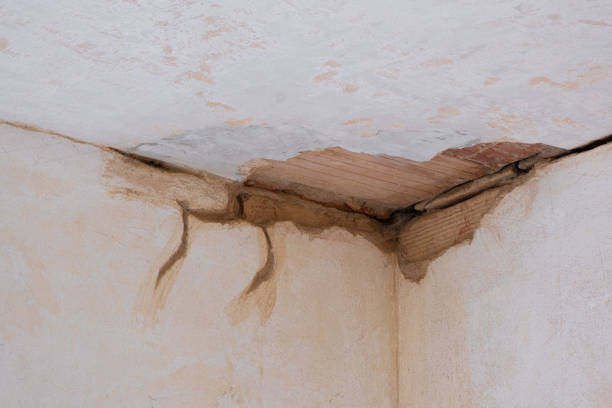 Best Ceiling water damage repair  in Ferndale, WA