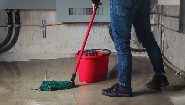 Best Fire Damage Restoration  in Ferndale, WA