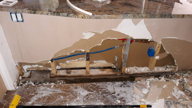 Best Water damage restoration cost  in Ferndale, WA
