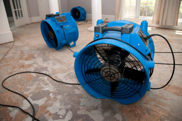  Ferndale, WA Water damage restoration Pros