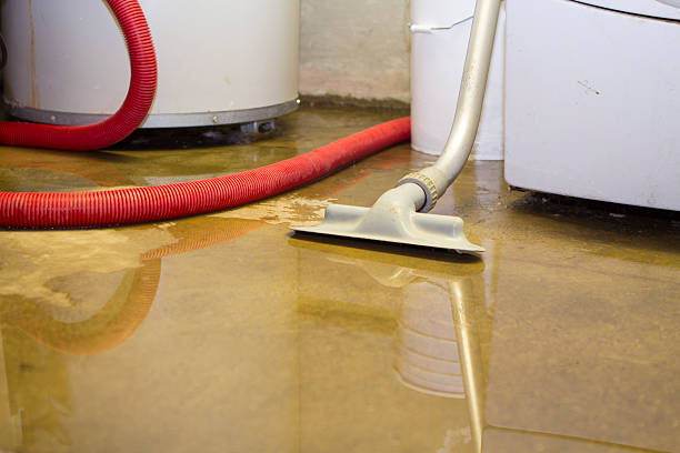 Best Local water damage restoration  in Ferndale, WA