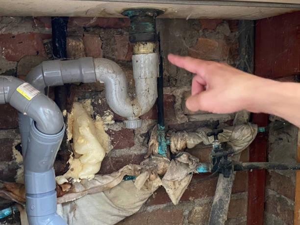 Best Sewage cleanup and water damage restoration  in Ferndale, WA