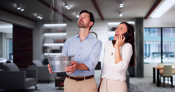 Trusted WA Water damage restoration Experts