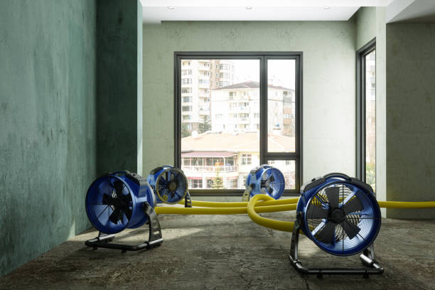 Best Carpet water damage restoration  in Ferndale, WA