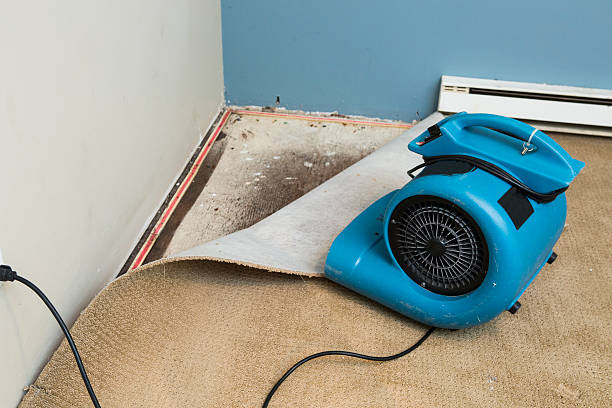 Best Emergency water damage restoration  in Ferndale, WA