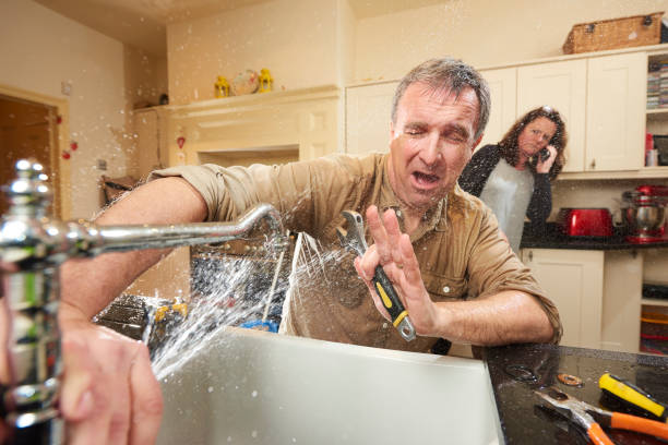 Best Flooded house restoration  in Ferndale, WA